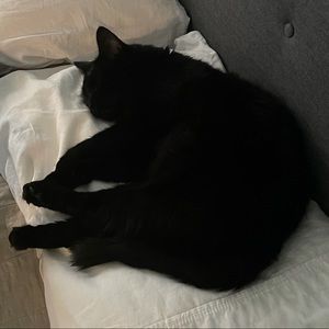 Meet your Posher, Rafael